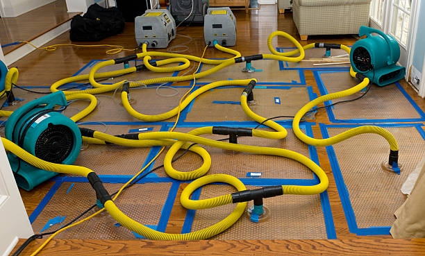 Professional Structural Drying And Dehumidification technician working in Upton, WY